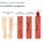 Charger l&#39;image dans la galerie, Tapis de Massage Conductif EMS
